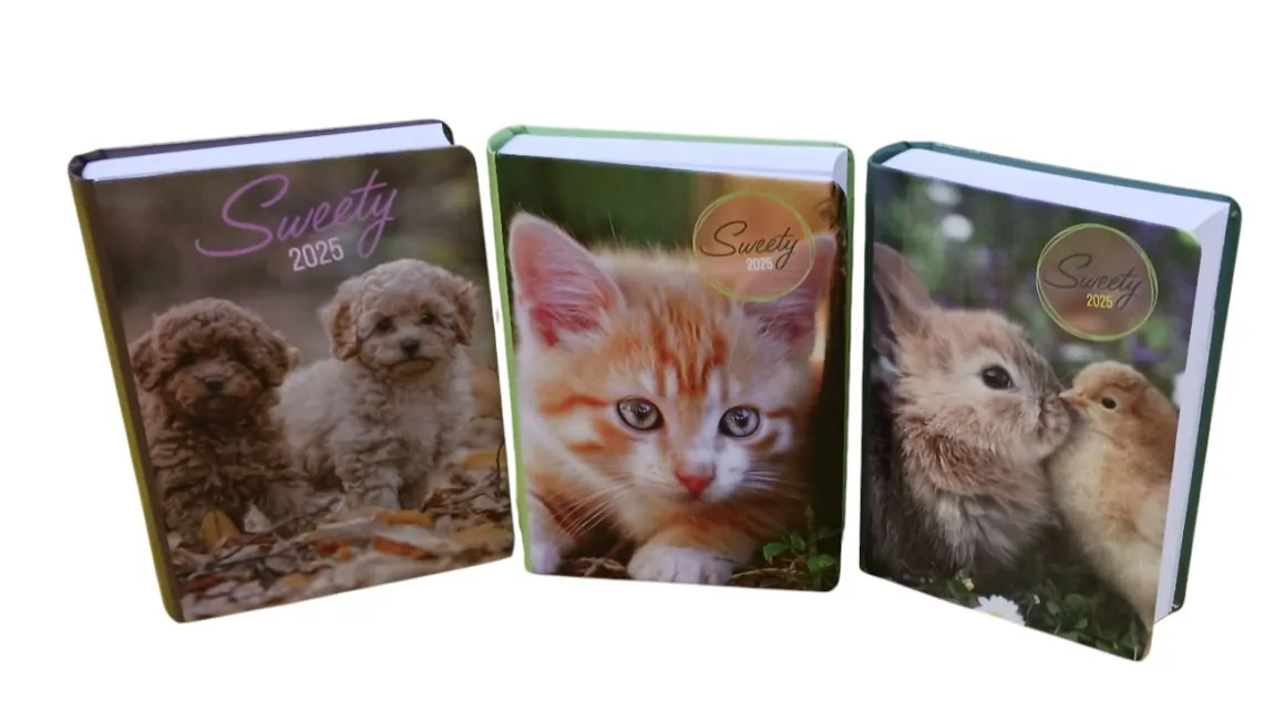 AGENDA GIORNALIERA 7X10CM SWEETY: vendita online AGENDA GIORNALIERA 7X10CM SWEETY in offerta
