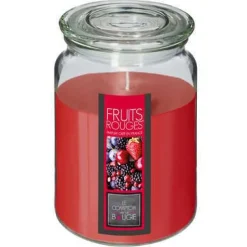 CANDELA IN VETRO FRUTTI DI BOSCO 510GR: vendita online CANDELA IN VETRO FRUTTI DI BOSCO 510GR in offerta