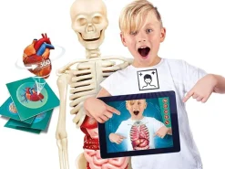 CLEMENTONI SCIENZA E GIOCO - CORPO UMANO: vendita online CLEMENTONI SCIENZA E GIOCO - CORPO UMANO in offerta