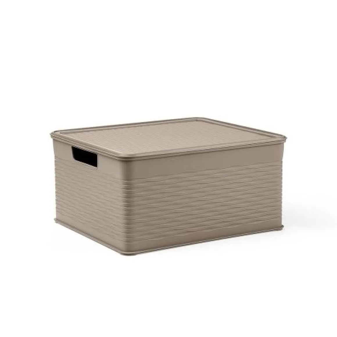 CONTENITORE LOOP IN POLIPROPILENE TORTORA 29X33.5 H. 16.5CM 13LT: vendita online CONTENITORE LOOP IN POLIPROPILENE TORTORA 29X33.5 H. 16.5CM 13LT in offerta