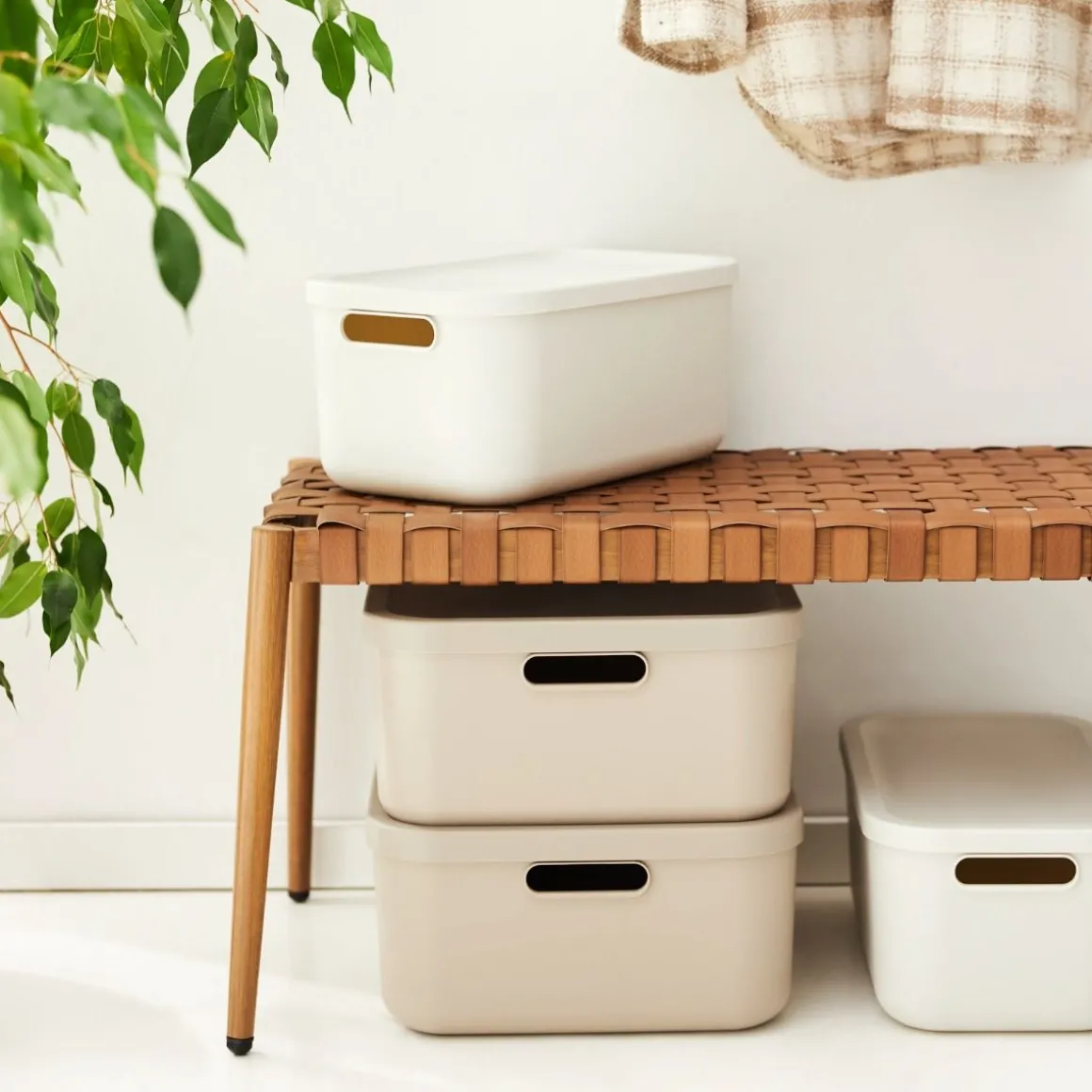 CONTENITORE MULTI BOX ALBULA LIGHT VISCHIO BIANCO 39.5X23.5 H. 17.7CM 12LT: vendita online CONTENITORE MULTI BOX ALBULA LIGHT VISCHIO BIANCO 39.5X23.5 H. 17.7CM 12LT in offerta