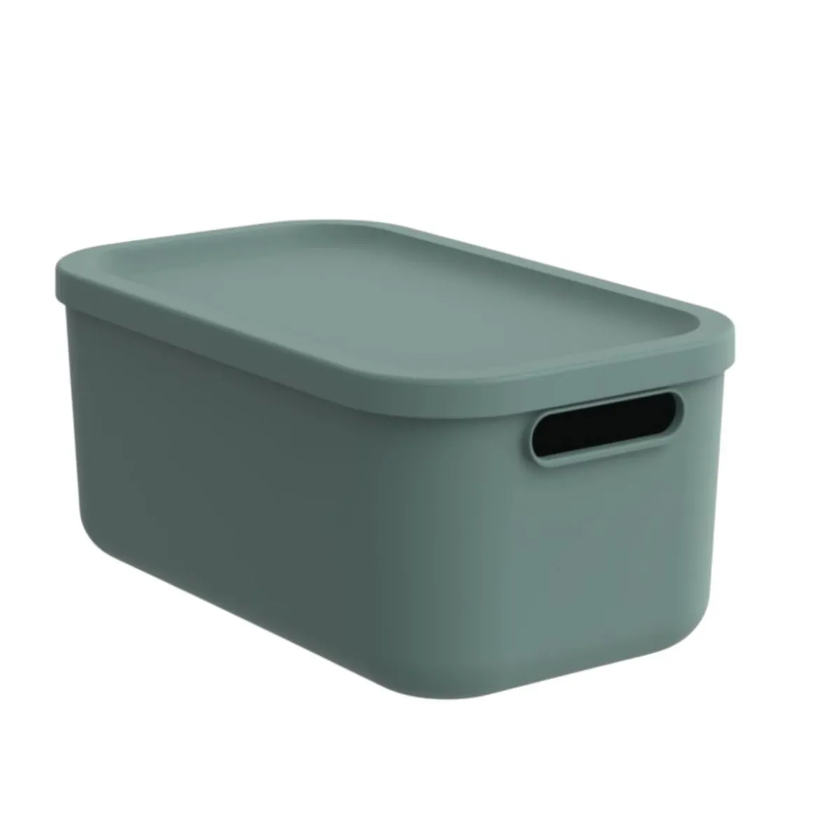 CONTENITORE MULTI BOX ALBULA LIGHT VISCHIO VERDE 39.5X23.5 H. 17.7CM 12LT: vendita online CONTENITORE MULTI BOX ALBULA LIGHT VISCHIO VERDE 39.5X23.5 H. 17.7CM 12LT in offerta