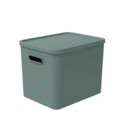 CONTENITORE MULTI BOX ALBULA LIGHT VISCHIO VERDE 37X29 H. 29.5CM 27LT: vendita online CONTENITORE MULTI BOX ALBULA LIGHT VISCHIO VERDE 37X29 H. 29.5CM 27LT in offerta