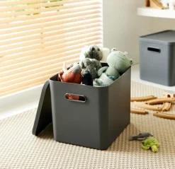CONTENITORE MULTI BOX ALBULA LIGHT ANTRACITE 37X29 H. 29.5CM 27LT: vendita online CONTENITORE MULTI BOX ALBULA LIGHT ANTRACITE 37X29 H. 29.5CM 27LT in offerta