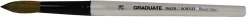DALER ROWNEY - PENNELLO LAVIS TONDO GRADUATE N. 26: vendita online DALER ROWNEY - PENNELLO LAVIS TONDO GRADUATE N. 26 in offerta