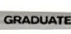 DALER ROWNEY - PENNELLO PIATTO MANICO LUNGO GRADUATE N. 1: vendita online DALER ROWNEY - PENNELLO PIATTO MANICO LUNGO GRADUATE N. 1 in offerta