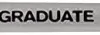 DALER ROWNEY - PENNELLO TONDO LUNGO MANICO LUNGO GRADUATE N. 2: vendita online DALER ROWNEY - PENNELLO TONDO LUNGO MANICO LUNGO GRADUATE N. 2 in offerta