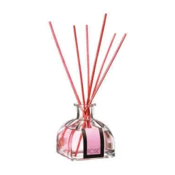 DIFFUSORE 100ML CON BASTONCINI: vendita online DIFFUSORE 100ML CON BASTONCINI in offerta