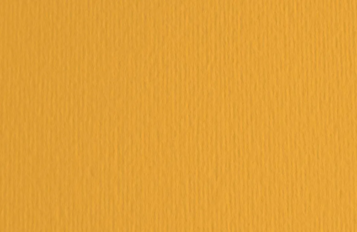 FABRIANO - CARTONCINO ELLE ERRE 50X70CM AVANA: vendita online FABRIANO - CARTONCINO ELLE ERRE 50X70CM AVANA in offerta