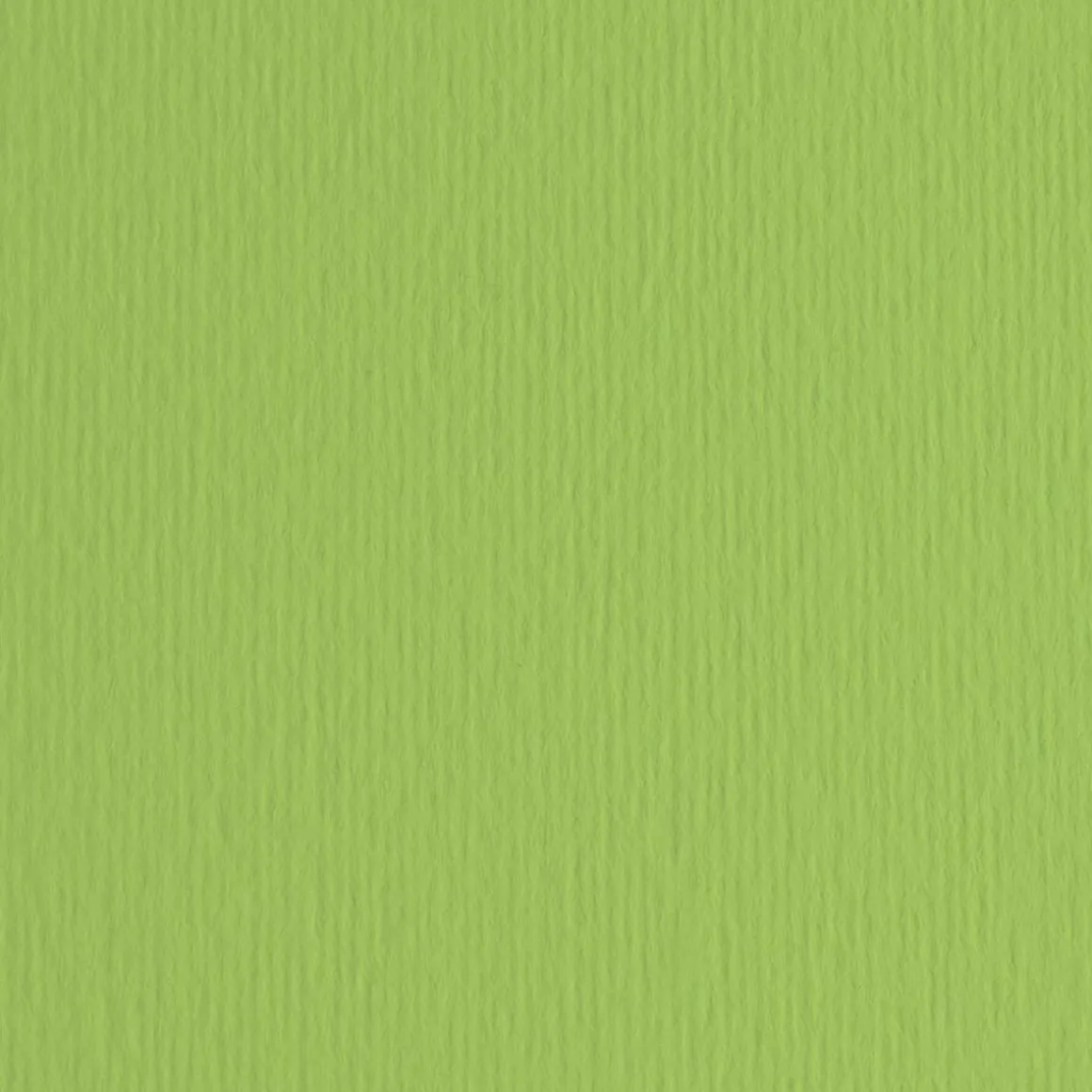 FABRIANO - CARTONCINO ELLE ERRE 50X70CM VERDE PISELLO : vendita online FABRIANO - CARTONCINO ELLE ERRE 50X70CM VERDE PISELLO in offerta