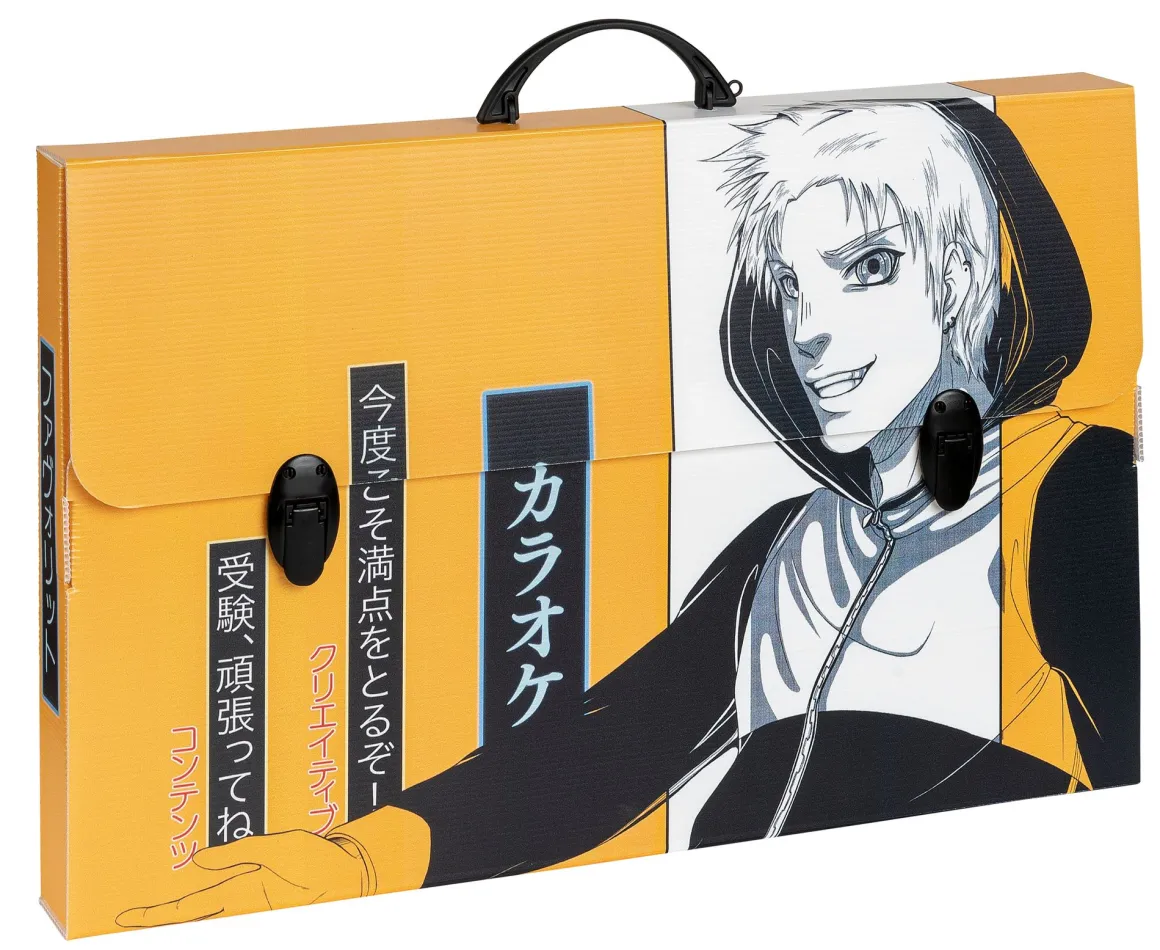 FAVORIT - VALIGETTA MANGA DORSO 5.5CM 56.5X36.5CM ASSORTITO: vendita online FAVORIT - VALIGETTA MANGA DORSO 5.5CM 56.5X36.5CM ASSORTITO in offerta