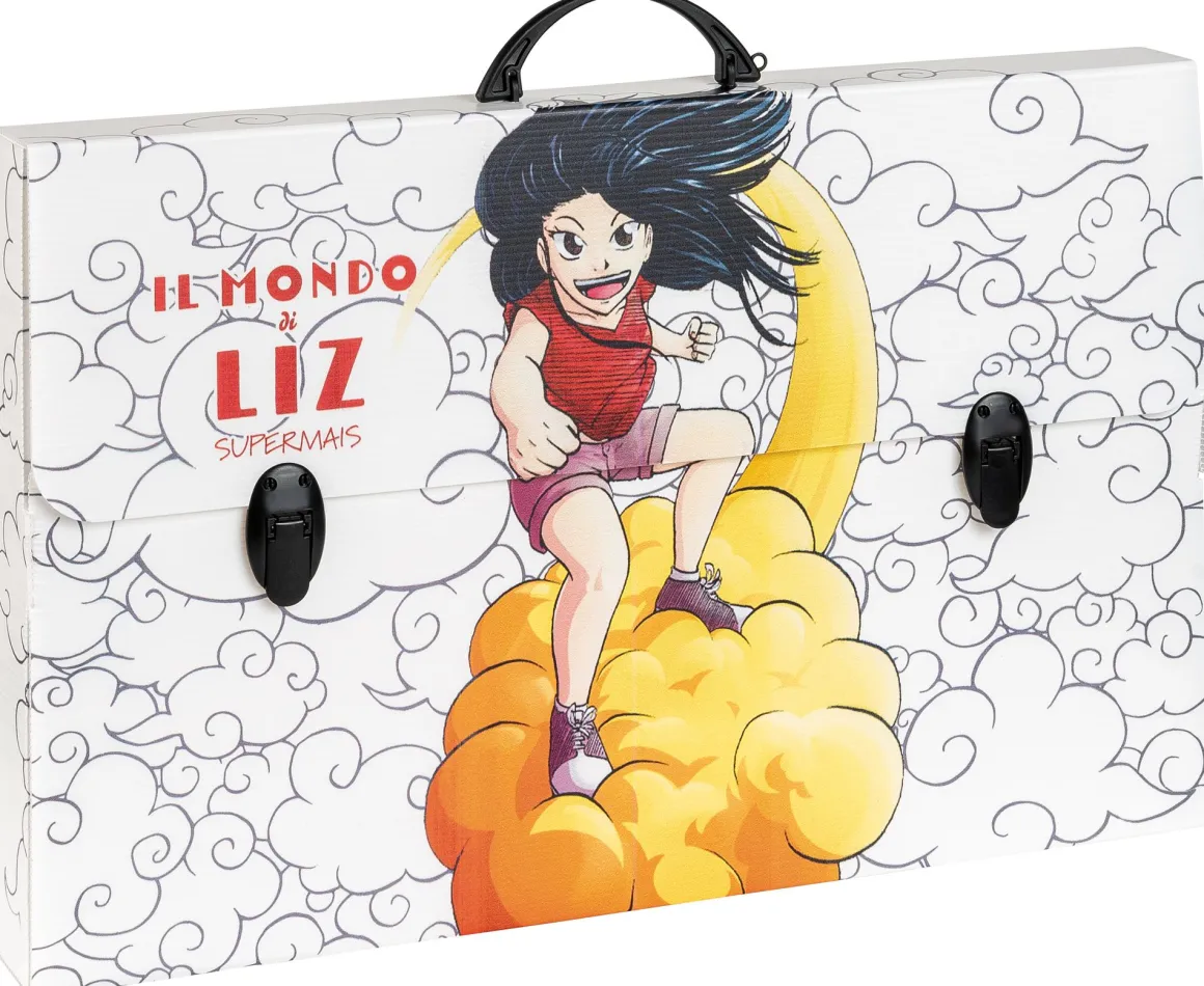 FAVORIT - VALIGETTA MANGA DORSO 5.5CM 56.5X36.5CM ASSORTITO: vendita online FAVORIT - VALIGETTA MANGA DORSO 5.5CM 56.5X36.5CM ASSORTITO in offerta