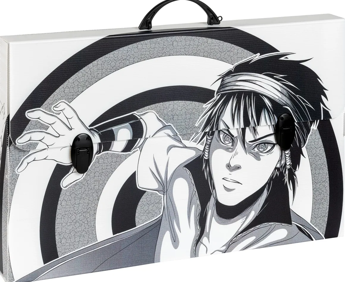 FAVORIT - VALIGETTA MANGA DORSO 5.5CM 56.5X36.5CM ASSORTITO: vendita online FAVORIT - VALIGETTA MANGA DORSO 5.5CM 56.5X36.5CM ASSORTITO in offerta