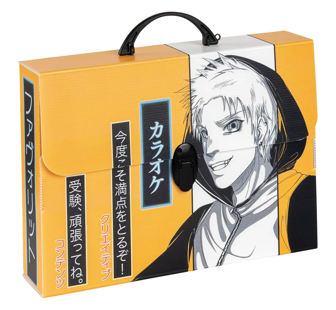 FAVORIT - VALIGETTA MANGA DORSO 8CM 37.5X27CM ASSORTITO: vendita online FAVORIT - VALIGETTA MANGA DORSO 8CM 37.5X27CM ASSORTITO in offerta