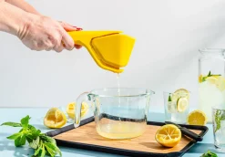 FLUICER - SPREMIAGRUMI PIATTO LIMONE