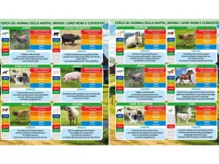 GEO NATURE - ANIMALI DELLA FATTORIA ASSORTITO: vendita online GEO NATURE - ANIMALI DELLA FATTORIA ASSORTITO in offerta