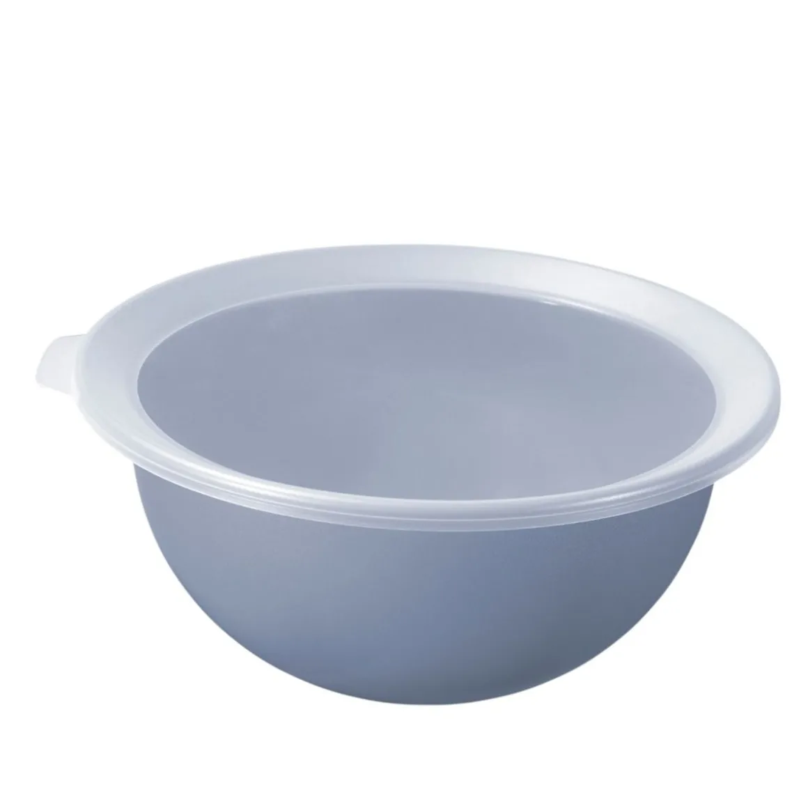 INSALATIERA CON COPERCHIO CARUBA 32.2X30.5X13.3CM 4.8LT
