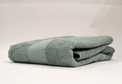 LINEA SOLID - ASCIUGAMANO OSPITE 40X60CM SALVIA : vendita online LINEA SOLID - ASCIUGAMANO OSPITE 40X60CM SALVIA in offerta