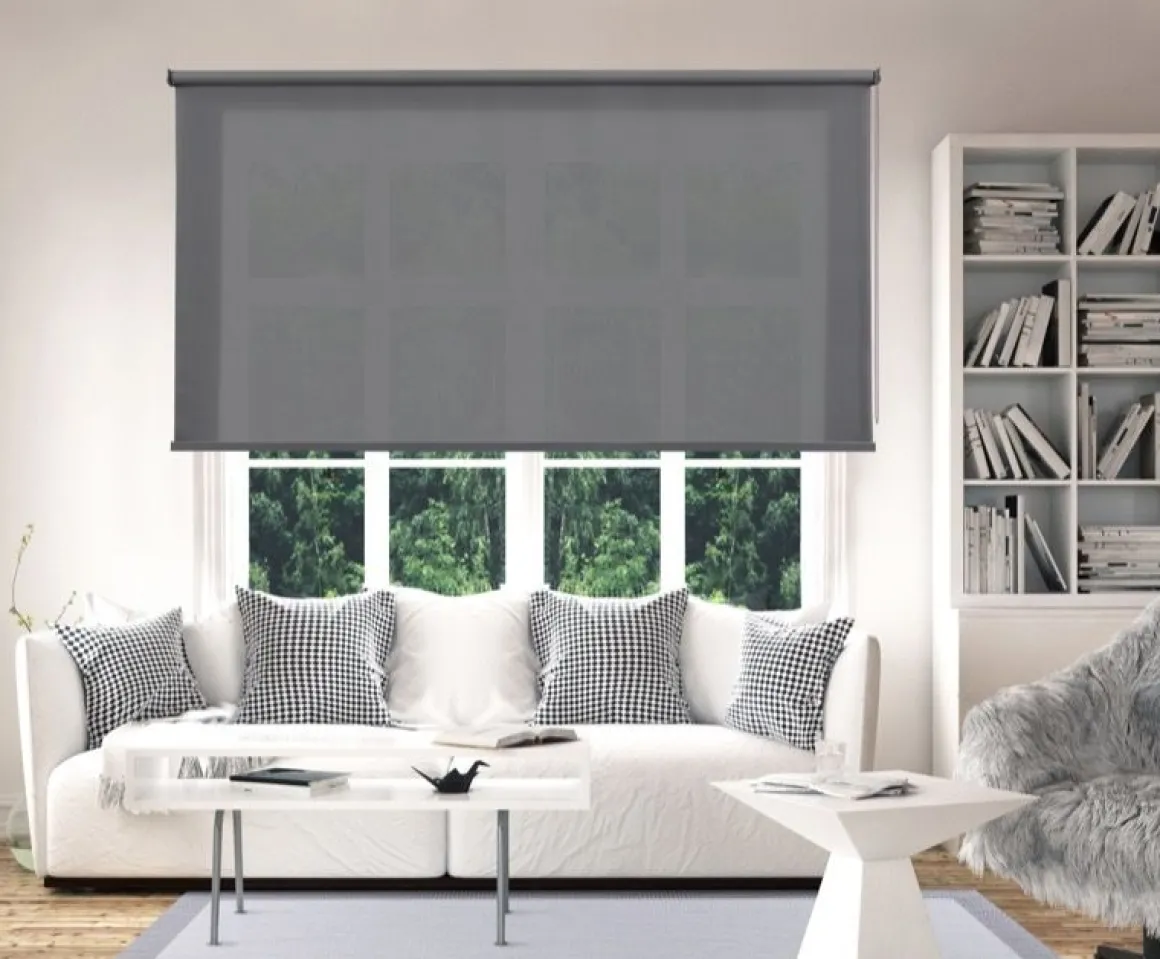 LINEA CALM - TENDA A RULLO FILTRANTE GRIGIO KOALA 80X250CM: vendita online LINEA CALM - TENDA A RULLO FILTRANTE GRIGIO KOALA 80X250CM in offerta