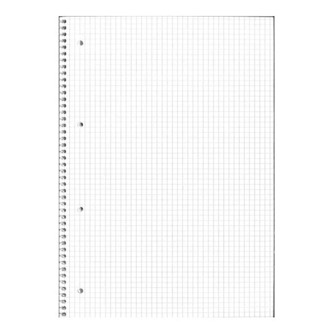 ONE COLOR - QUADERNO AD ANELLI BLACK AND FLUO 60 FOGLI A4+ QUADRETTI ASS.: vendita online ONE COLOR - QUADERNO AD ANELLI BLACK AND FLUO 60 FOGLI A4+ QUADRETTI ASS. in offerta