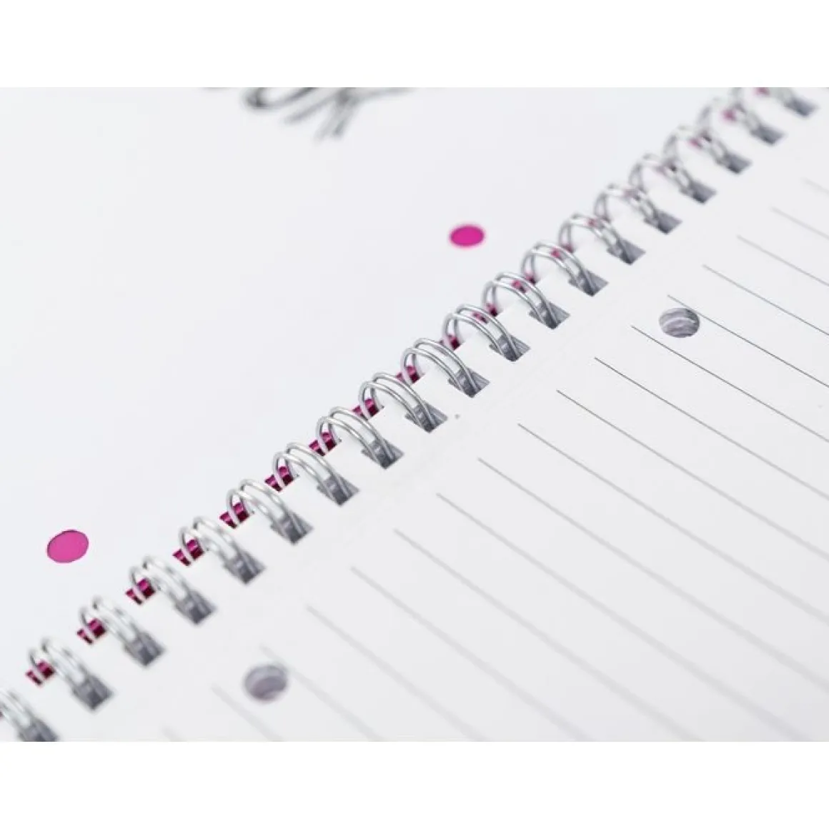 ONE COLOR - QUADERNO AD ANELLI 4X4 120+4 FOGLI A4+ RIGHE ASSORTITO: vendita online ONE COLOR - QUADERNO AD ANELLI 4X4 120+4 FOGLI A4+ RIGHE ASSORTITO in offerta