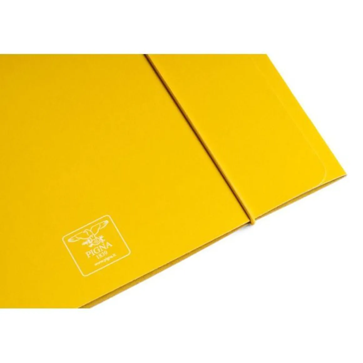 PIGNA - CARTELLINA A 3 LEMBI CON ELASTICO ASSORTITO: vendita online PIGNA - CARTELLINA A 3 LEMBI CON ELASTICO ASSORTITO in offerta