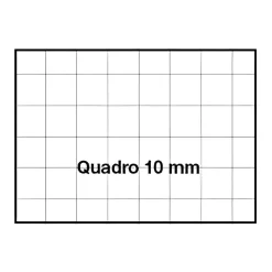 PIGNA - QUADERNO MAXI ANIMAL 42 FOGLI A4 QUADRETTI GRANDI ASSORTTO : vendita online PIGNA - QUADERNO MAXI ANIMAL 42 FOGLI A4 QUADRETTI GRANDI ASSORTTO in offerta