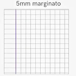 PIGNA - QUADERNO MAXI BUTTERFLIES 50FF/SH QUADRETTI 1a 2a elementari CON MARGINI ASSORTITO: vendita online PIGNA - QUADERNO MAXI BUTTERFLIES 50FF/SH QUADRETTI 1a 2a elementari CON MARGINI ASSORTITO in offerta