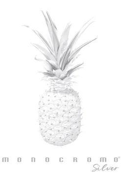 PIGNA - QUADERNO MAXI MONOCROMO SILVER A4 38 FOGLI QUADRETTI ASS.: vendita online PIGNA - QUADERNO MAXI MONOCROMO SILVER A4 38 FOGLI QUADRETTI ASS. in offerta