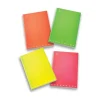 PIGNA - QUADERNO MAXI MONOCROMO FLUO 42 FOGLI A4 4a 5a elem. ASS.: vendita online PIGNA - QUADERNO MAXI MONOCROMO FLUO 42 FOGLI A4 4a 5a elem. ASS. in offerta