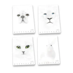 PIGNA - QUADERNO MAXI MONOCROMO WHITE 38 FOGLI QUADRETTI ASS.: vendita online PIGNA - QUADERNO MAXI MONOCROMO WHITE 38 FOGLI QUADRETTI ASS. in offerta