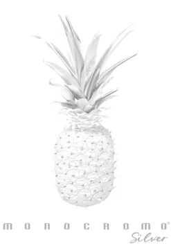 PIGNA - QUADERNO MAXI MONOCROMO SILVER A4 38 FOGLI QUADRETTI 1a 2a 3a elem. ASS.: vendita online PIGNA - QUADERNO MAXI MONOCROMO SILVER A4 38 FOGLI QUADRETTI 1a 2a 3a elem. ASS. in offerta