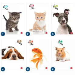 PIGNA - QUADERNO MAXI PLAY WITH PETS 50 FOGLI A4 QUADRETTI 1a 2a 3a elem. ASS.: vendita online PIGNA - QUADERNO MAXI PLAY WITH PETS 50 FOGLI A4 QUADRETTI 1a 2a 3a elem. ASS. in offerta