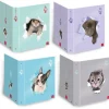 PIGNA - RACCOGLITORE AD ANELLI HEY THERE A4 ASSORTITO: vendita online PIGNA - RACCOGLITORE AD ANELLI HEY THERE A4 ASSORTITO in offerta