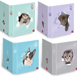PIGNA - RACCOGLITORE AD ANELLI HEY THERE A4 ASSORTITO: vendita online PIGNA - RACCOGLITORE AD ANELLI HEY THERE A4 ASSORTITO in offerta