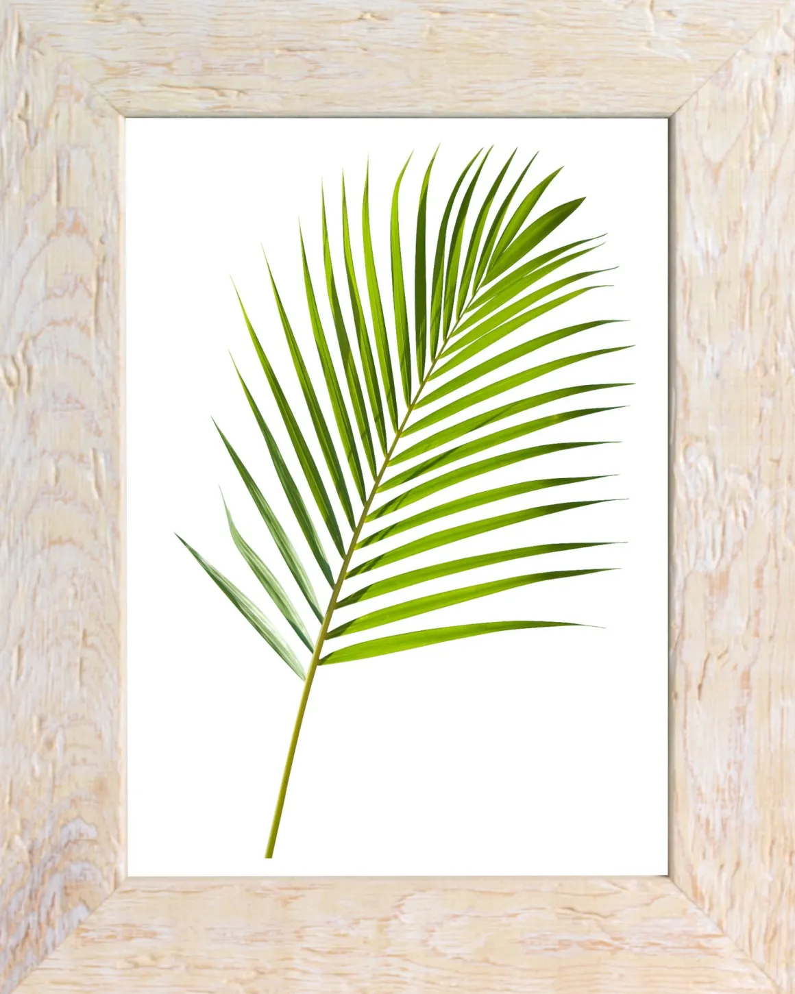 PORTAFOTO WARREN IN LEGNO E CRILEX BIANCO 13X18CM: vendita online PORTAFOTO WARREN IN LEGNO E CRILEX BIANCO 13X18CM in offerta