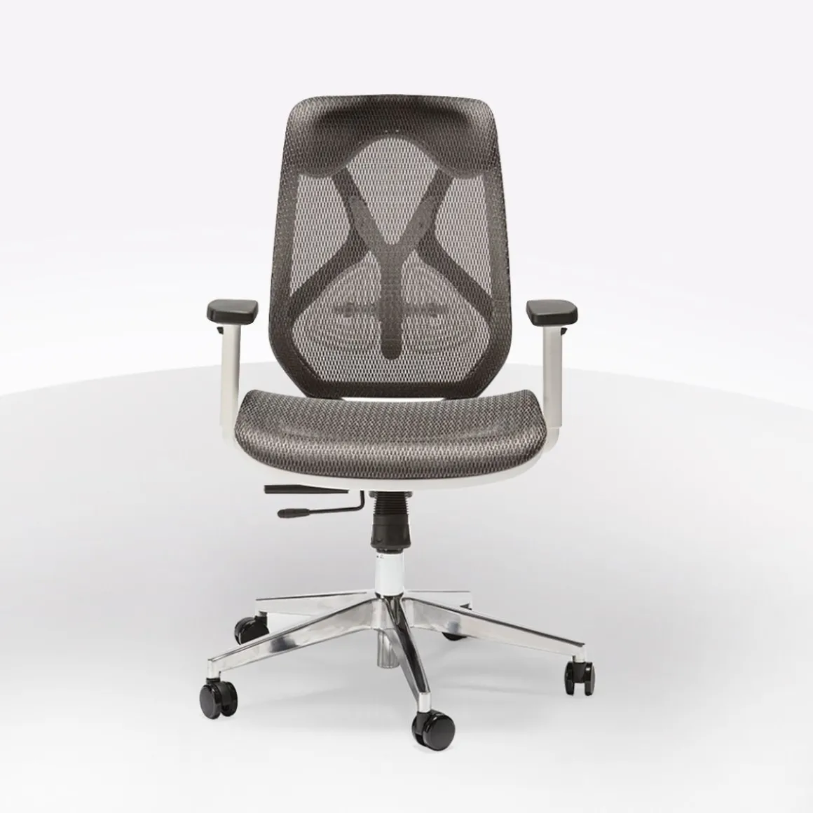 SEDIA DAFNE PLUS L WHITE GRIGIO E BIANCA: vendita online SEDIA DAFNE PLUS L WHITE GRIGIO E BIANCA in offerta