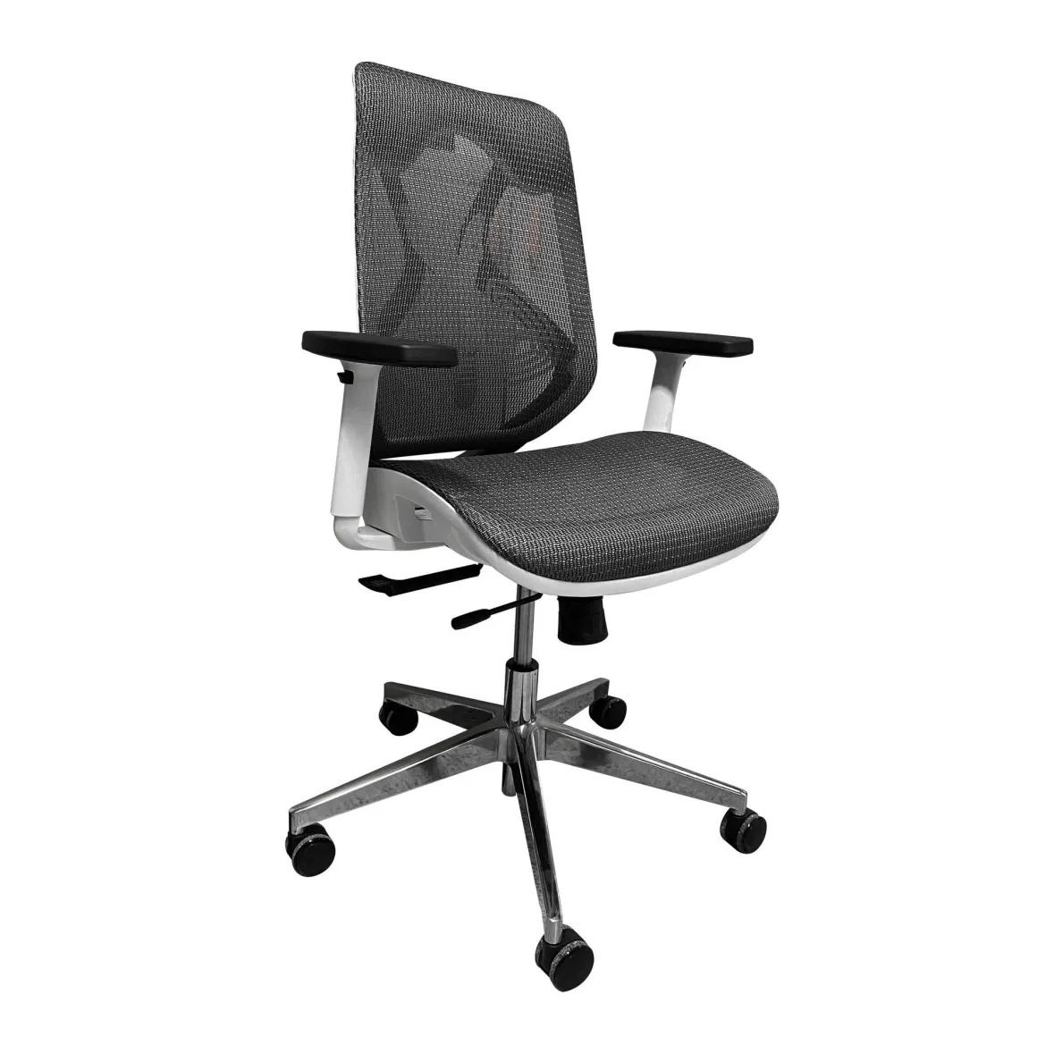 SEDIA DAFNE PLUS L WHITE GRIGIO E BIANCA: vendita online SEDIA DAFNE PLUS L WHITE GRIGIO E BIANCA in offerta