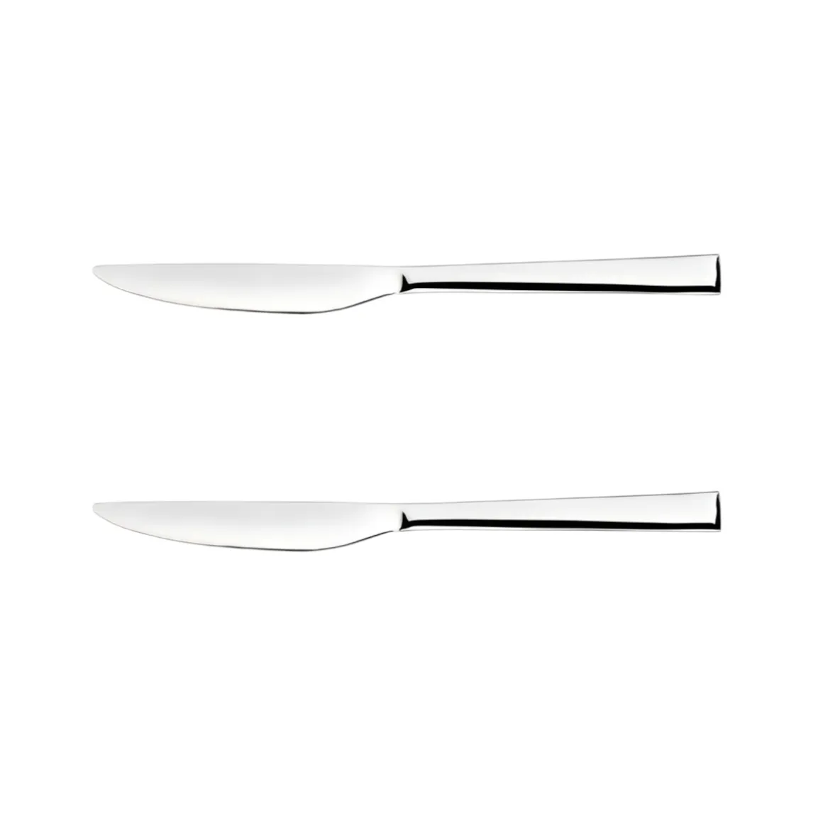 SET 2 COLTELLI DA TAVOLA LINEA DINAMICA 23.5CM