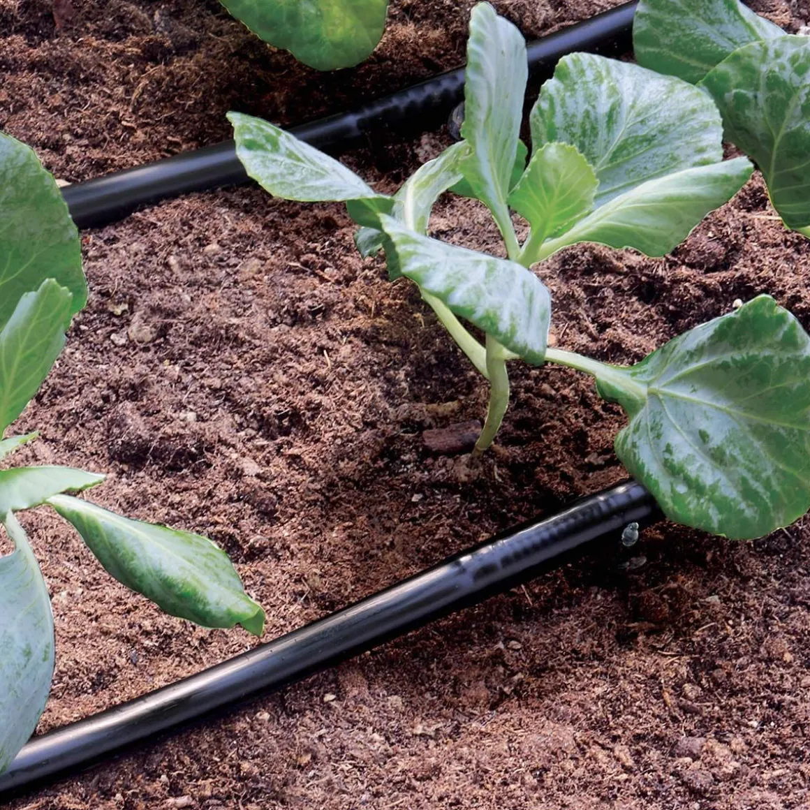 Tubo gocciolante per irrigazione 25mt