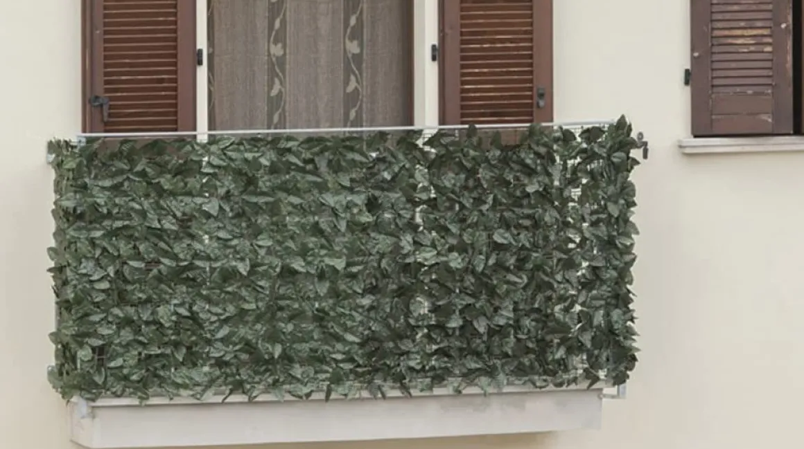 Vendita online di ARELLA SEMPREVERDE LAURO POINT 1X3MT