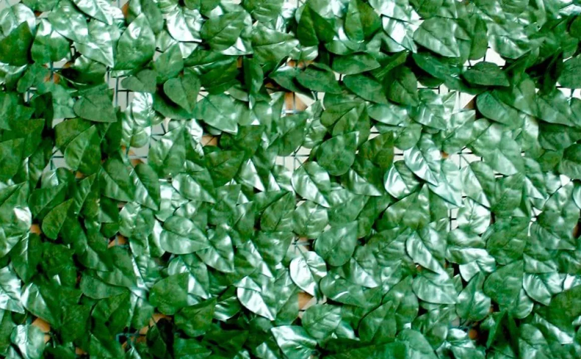Vendita online di ARELLA SEMPREVERDE LAURO POINT 1X3MT