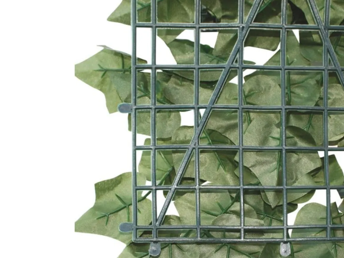 Vendita online di ARELLA SEMPREVERDE LAURO POINT 1X3MT