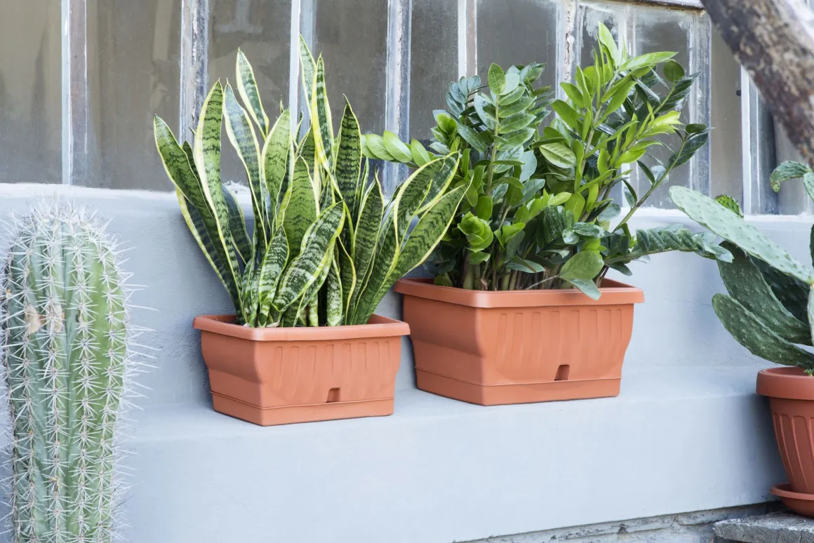 Vendita online di FIORIERA NATURA 60X29X26CM TERRACOTTA