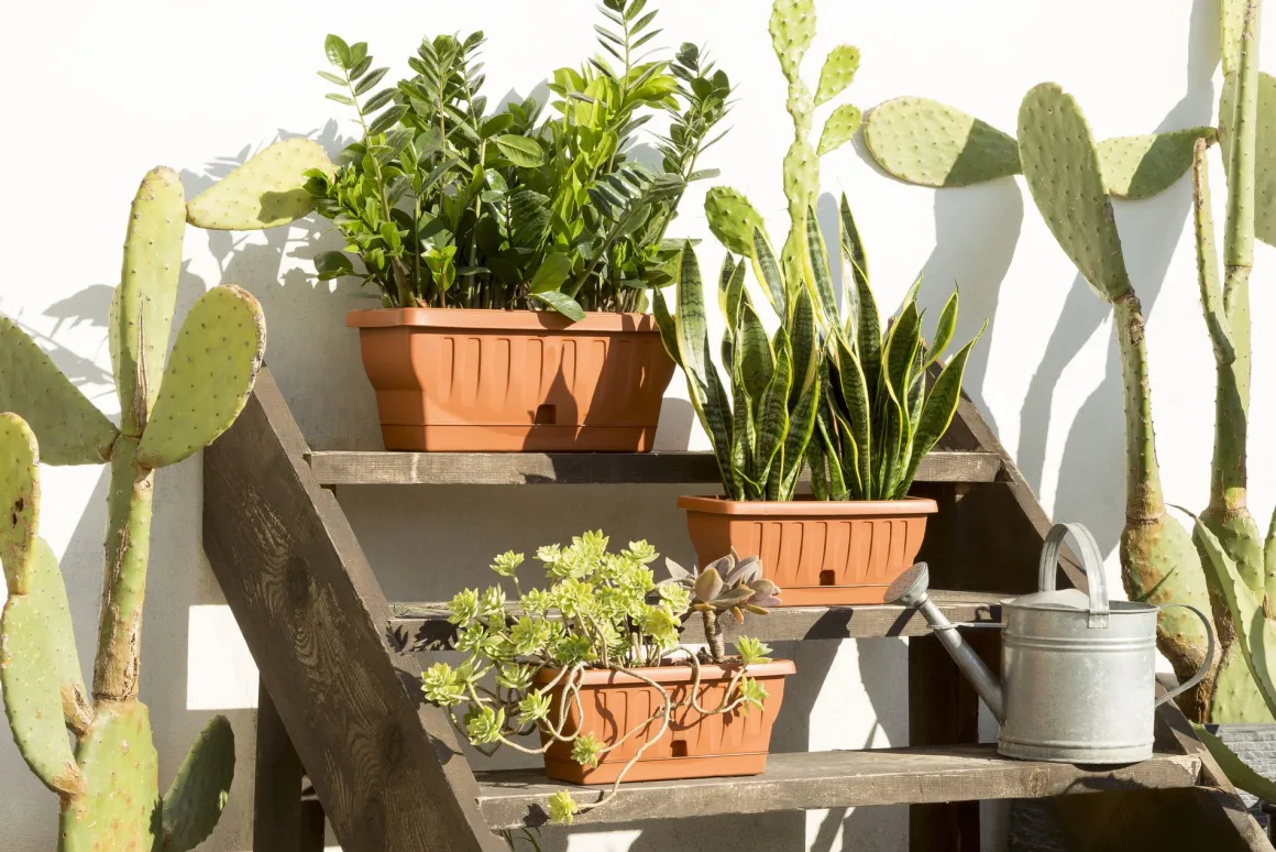 Vendita online di FIORIERA NATURA 60X29X26CM TERRACOTTA