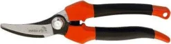 Vendita online di FORBICE COGLIUVA ACCIAIO 175MM