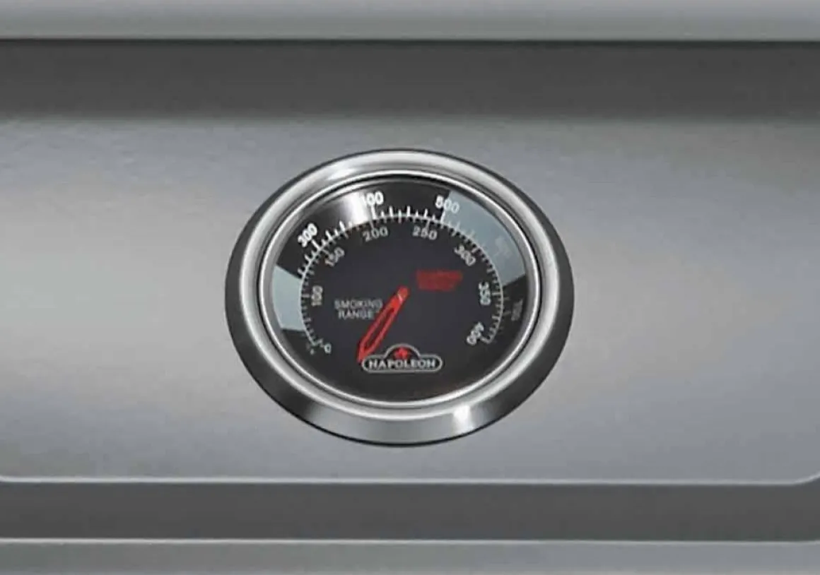 Vendita online di NAPOLEON - BARBECUE A GAS FREESTYLE 365 CON 3 FUOCHI