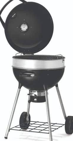 Vendita online di NAPOLEON - BARBECUE A CARBONELLA PRO22K