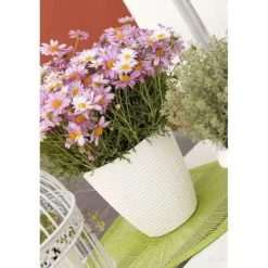 Vendita online di PORTAVASO PAGLIA DIAM. 24 PANNA