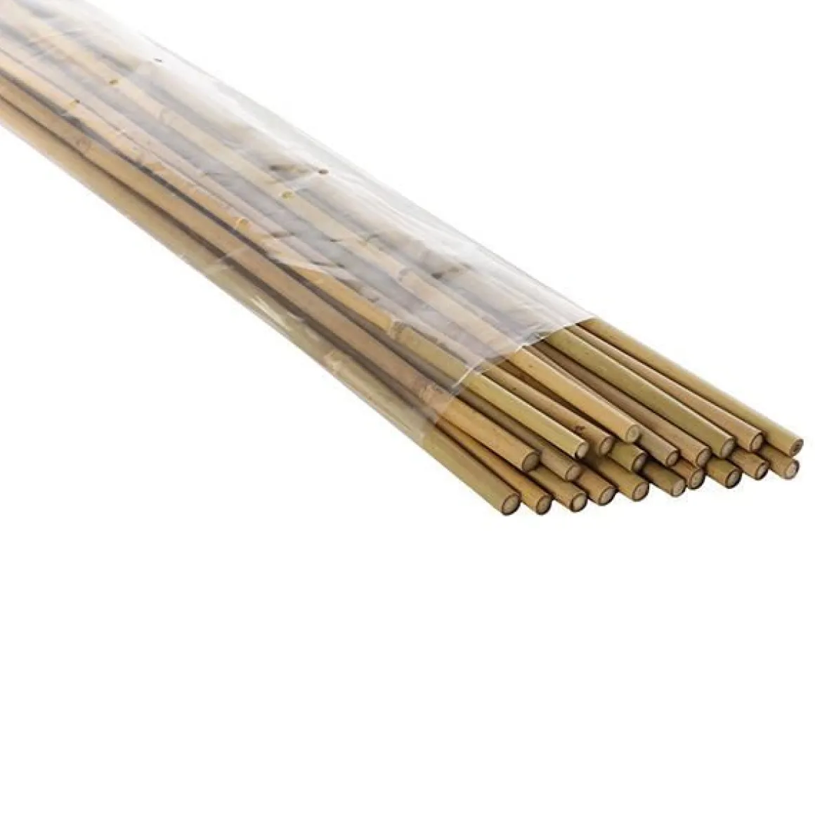 Vendita online di SET 10 CANNETTE IN BAMBOO H 180CM DIAM. 12/14MM